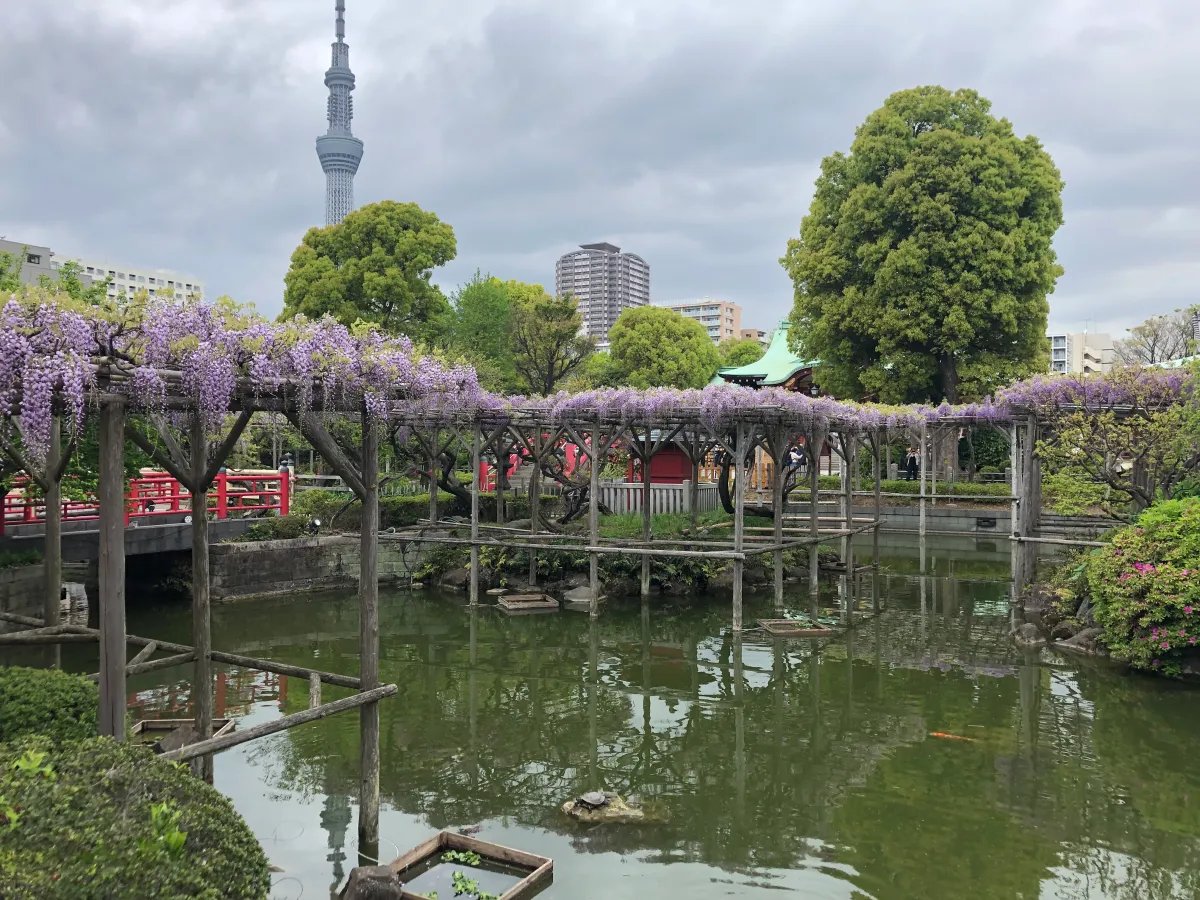 🌸 카메이도 매화 저택(카메이도 우메야시키) 이미지 1